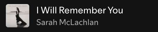 Sarah McLachlan - I Will Remember You